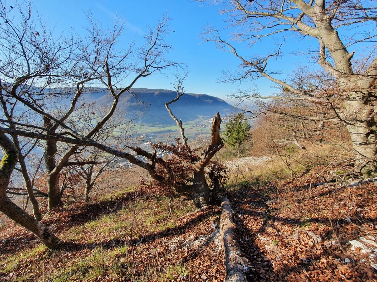 Quiet Business Flat Or Vacation Home In Bad Urach Extérieur photo