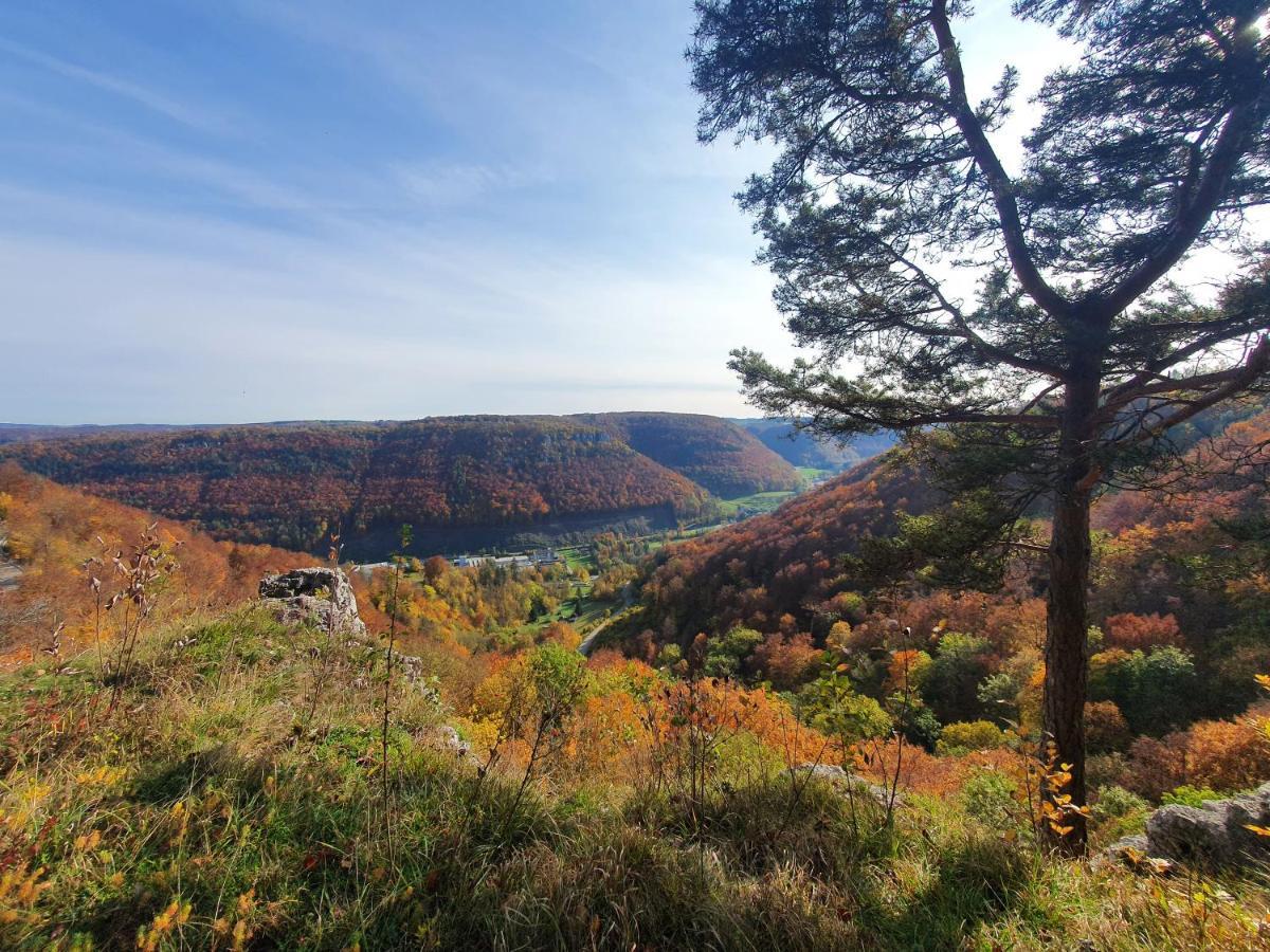 Quiet Business Flat Or Vacation Home In Bad Urach Extérieur photo