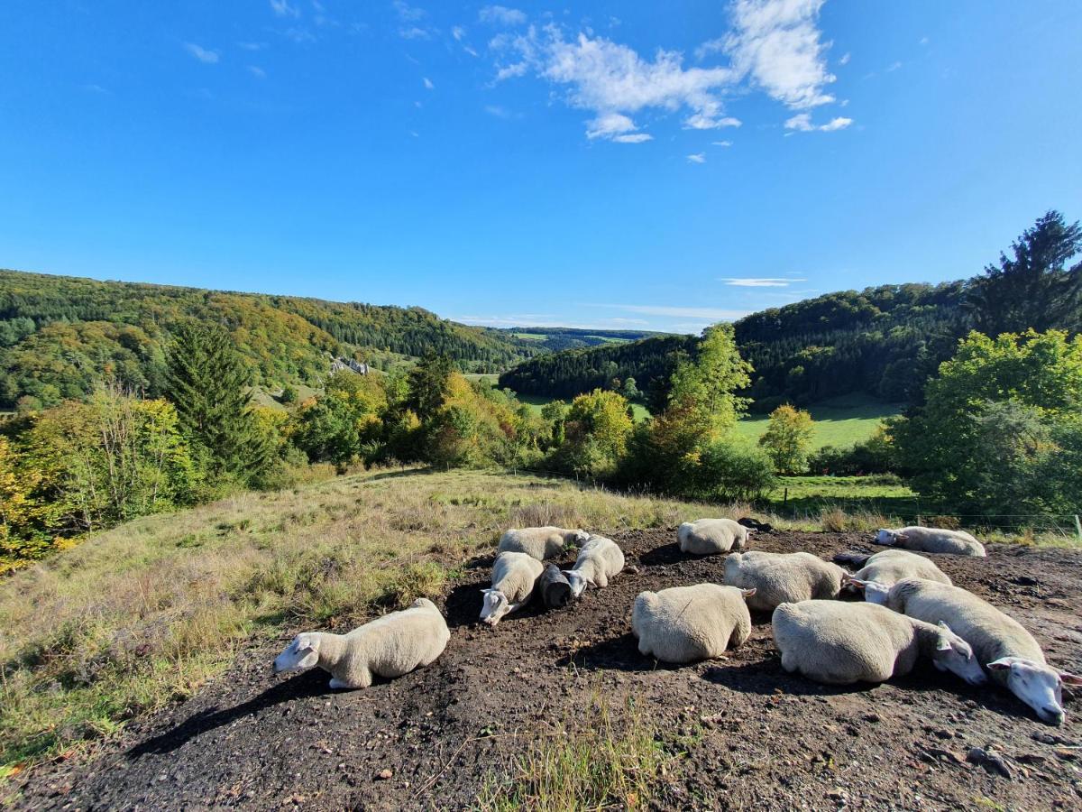 Quiet Business Flat Or Vacation Home In Bad Urach Extérieur photo